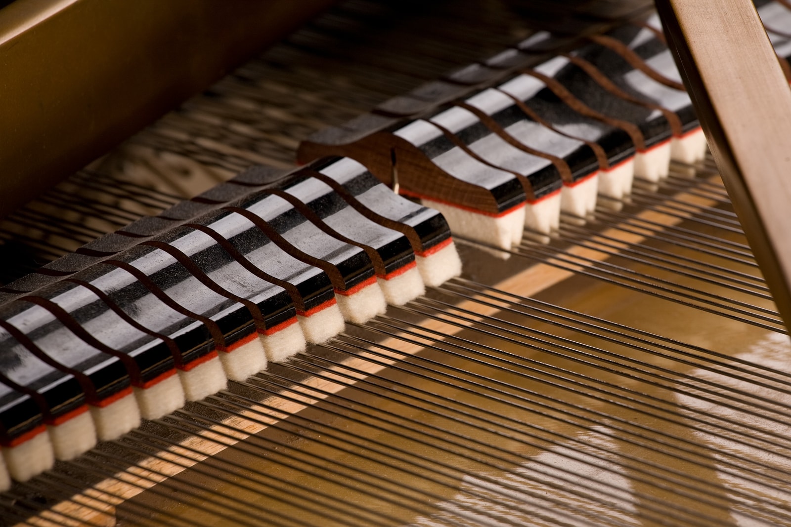 The Anatomy of Piano Dampers