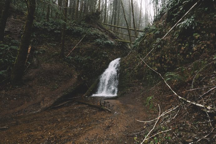 Waterfall in Forest | What It's Like Living in Tillamook, Oregon [Moving Guide]
